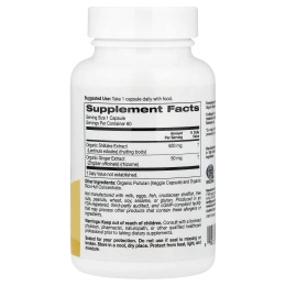 Super Nutrition, органический гриб шиитаке, имбирь, органический пуллулан и концентрат органической рисовой шелухи, 60 вегетарианских капсул