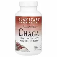Planetary Herbals, Чага полного спектра, 1000 мг, 120 таблеток