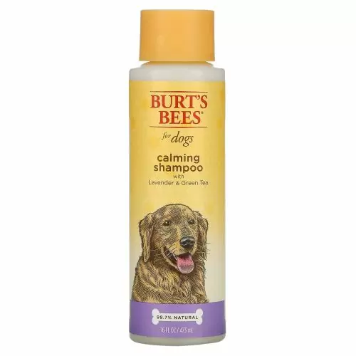 Burt's Bees, Успокаивающий шампунь для собак с лавандой и зеленым чаем, 473 мл (16 жидк. Унций)