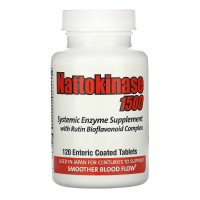 Naturally Vitamins, Наттокиназа 1500, 120 таблеток с энтеросолюбильным покрытием