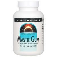 Source Naturals, Экстракт мастиковой смолы, 60 капсул