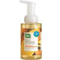 CleanWell, Полностью натуральное антибактериальное, пенящееся мыло для рук, апельсин и ваниль, 9.5 жидких унций (280 мл)