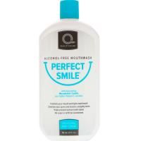 Perfect Smile, Alcohol-Free Mouthwash, Refreshing Mint Flavor, 16 oz (474 ml)