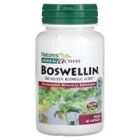 Nature's Plus, Herbal Actives, Boswellin, 300 mg, 60 Vegetarian Capsules