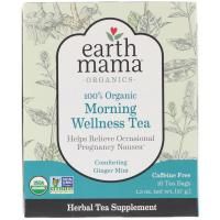 Earth Mama, 100% органический полезный утренний чай, имбирь и мята, 16 чайных пакетиков, 1,3 унц. (37 г)