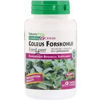 Nature's Plus, Herbal Actives, Coleus Forskohlii, 125 mg, 60 Vegetarian Capsules