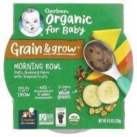 Gerber, Grain & Grow Morning Bowl, органический продукт, для малышей от 10 месяцев, овсянка, красное киноа и полба с тропическими фруктами, 128 г (4,5 унции)