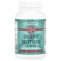 Snap Dynasty, Snap In To Motion ™ Lower, 120 капсул