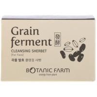 Botanic Farm, Grain Ferment Cleansing Sherbet for Face, 100 ml
