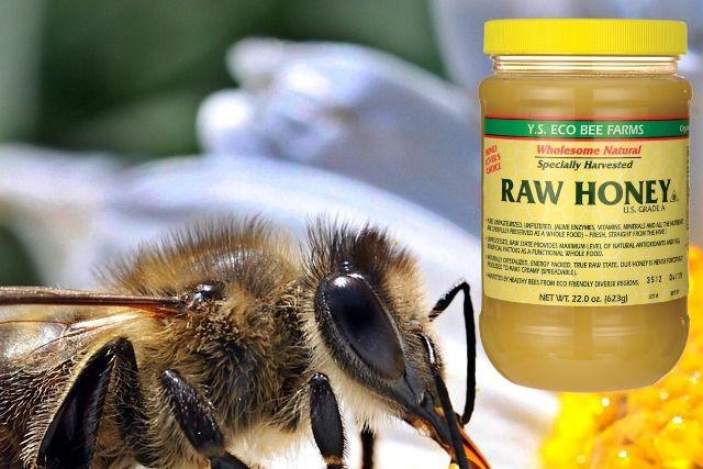 Как облегчить состояние после укуса пчелы?