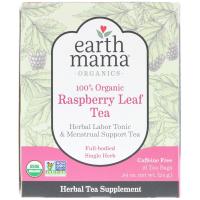 Earth Mama, 100% Organic Raspberry Leaf Tea, Full-Bodied Single Herb, 16 Tea Bags, .84 oz (24 g)