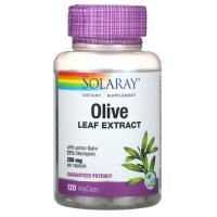 Solaray, экстракт листьев оливкового дерева, 250 мг, 120 вегетарианских капсул