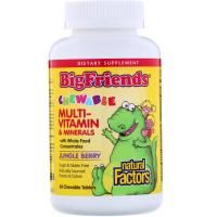 Natural Factors, "Большие друзья", жевательный мультивитаминный комплекс с минералами, со вкусом ягод из джунглей, 60 жевательных таблеток
