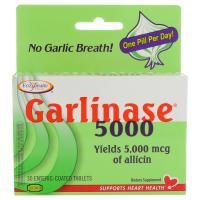 Nature's Way, Garlinase 5000, 30 Enteric-Coated Tablets