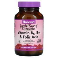 Bluebonnet Nutrition, EarthSweet, Vitamin B-6, B-12 Plus Folic Acid, Raspberry, 60 Chewable Tablets