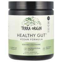 Terra Origin, Healthy Gut, веганская формула, 246,6 г (8,7 унции)