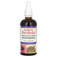 Natural Factors, Пищевая добавка «Формула Anti-V», с прошедшим клинические испытания эхинамидом, 3,4 жидких унции (100 мл)
