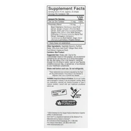 Nature's Answer, Ionic Zinc Immune с черной бузиной, 120 мл (4 жидк. унц.)