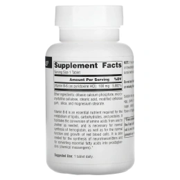 Source Naturals, B-6, 100 мг, 250 таблеток