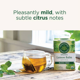 Traditional Medicinals, органическая мелисса, без кофеина, 16 чайных пакетиков, 24 г, (0,85 унции)