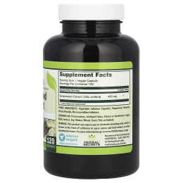 Herbal Secrets, Экстракт виноградных косточек, 400 мг, 120 растительных капсул