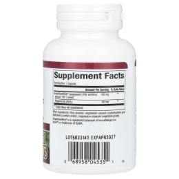 Natural Factors, Экстракт виноградной косточки, 95% полифенолов, 100 мг, 60 растительных капсул