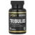 California Gold Nutrition, Спорт, якорцы, 1000 мг, 60 таблеток