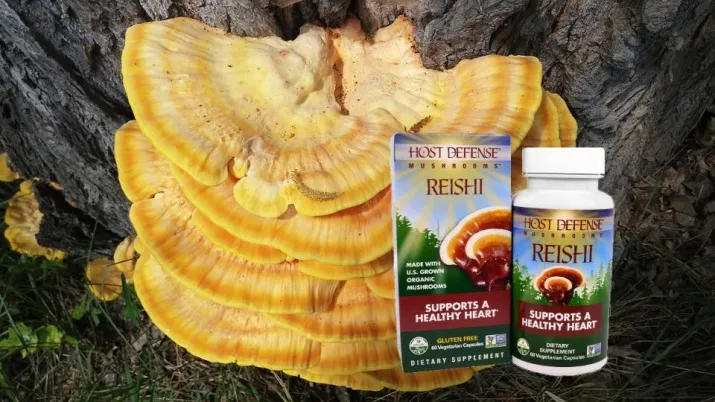 Чай с грибами рейши Чай с грибами рейши