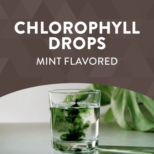 Nature's Way, Chlorofresh, капли с хлорофиллом, с мятным вкусом, 2 ж. унц. (59 мл)