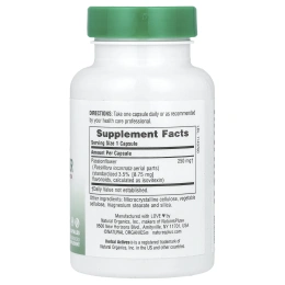 Nature's Plus, Растительная активность, пассифлора, 250 мг, 60 вегетарианских капсул