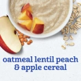 Gerber, 2nd Foods®, каша, овсянка, чечевица, персик и яблоко, 227 г (8 унций)