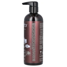 Pura D'or, ColorHarmony Purple, шампунь для профессионального использования, 473 мл (16 жидк. унций)