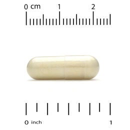 Super Nutrition, добавка для поддержки вен с диосмином, иглицей колючей, конским каштаном, биофлавоноидами и ферментами, 90 растительных капсул