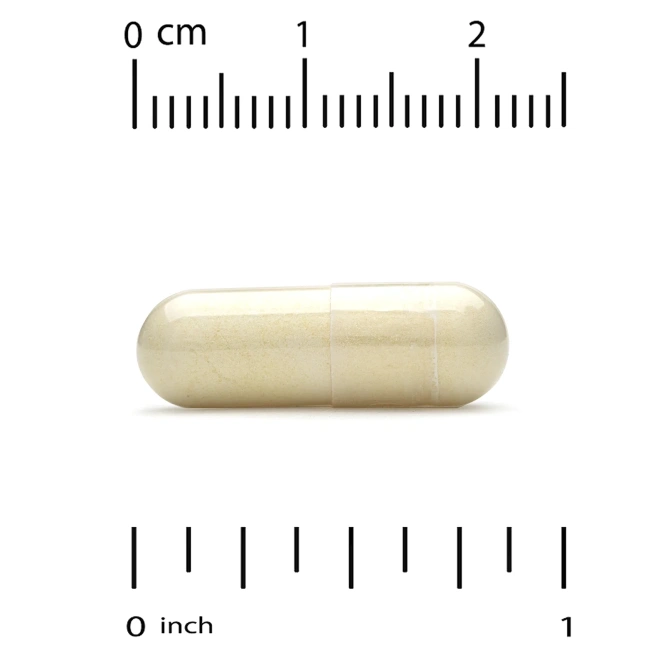 Super Nutrition, добавка для поддержки вен с диосмином, иглицей колючей, конским каштаном, биофлавоноидами и ферментами, 90 растительных капсул