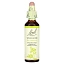 Bach, Original Flower Remedies, дикая роза, 20 мл (0,7 жидк. унц.)