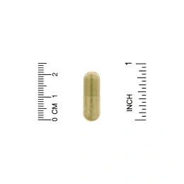 California Gold Nutrition, Fisetin with Novusetin, физетин, 100 мг, 30 растительных капсул