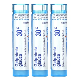 Boiron, Galphimia Meltaway, гранулы, 3 тюбика, 80 гранул в каждом