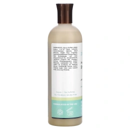 Zion Health, Ancient Minerals, шампунь против пушения, французская груша, 473 мл (16 жидк. унц.)