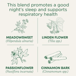 Traditional Medicinals, Organic Cold Care PM, таволга и корица, без кофеина, 16 чайных пакетиков в упаковке, 32 г (1,13 унции)