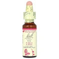Bach, Original Flower Remedies, вяз, 10 мл (0,35 жидк. унции)