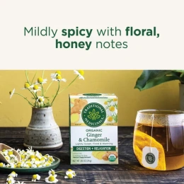 Traditional Medicinals, Органический имбирь, без кофеина, 16 чайных пакетиков, 24 г (0,85 унции)