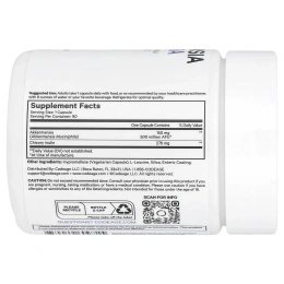 Codeage, Akkermansia 500 Ultra, аккермансия, 90 растительных капсул