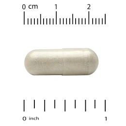 California Gold Nutrition, Think Support, с гинкго билоба, тюбетейкой, готу колой, бакопой и ферментами, 60 растительных капсул