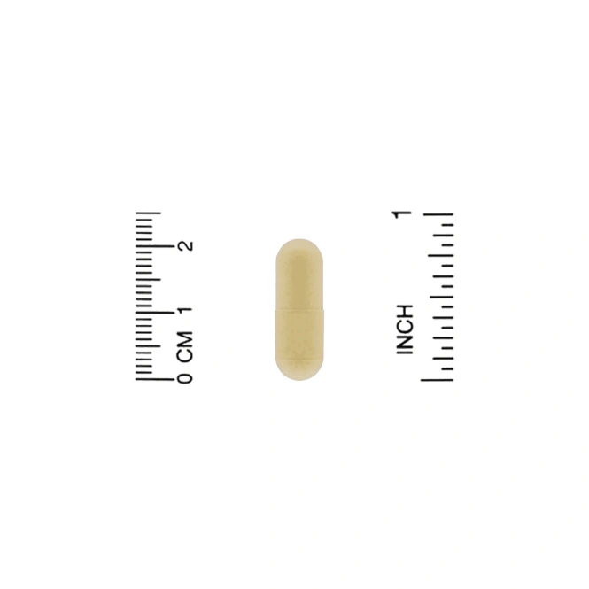 ZOI Research, поддержка выведения токсинов, 180 растительных капсул