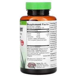 Herbs Etc., ChlorOxygen®, концентрат хлорофилла, без спирта, 59 мл (2 жидк. унции)