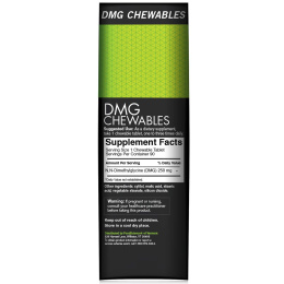 FoodScience, DMG Chewables, 250 мг, 90 жевательных таблеток