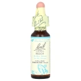 Bach, Original Flower Remedies, бук, 10 мл (0,35 жидк. унции)