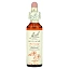Bach, Original Flower Remedies, каменная роза, 20 мл (0,7 жидк. унц.)