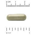 Vitacost, Gymnema Extract, 520 mg, 120 Capsules
