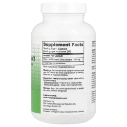 Seagate, Экстракт листьев оливы, 450 мг, 250 растительных капсул